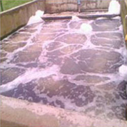 Wastewater Treatment Plant